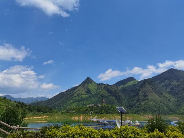 瑞士主帅:我们比阿根廷好很多 本想90分钟解决战斗 不清楚红牌规则