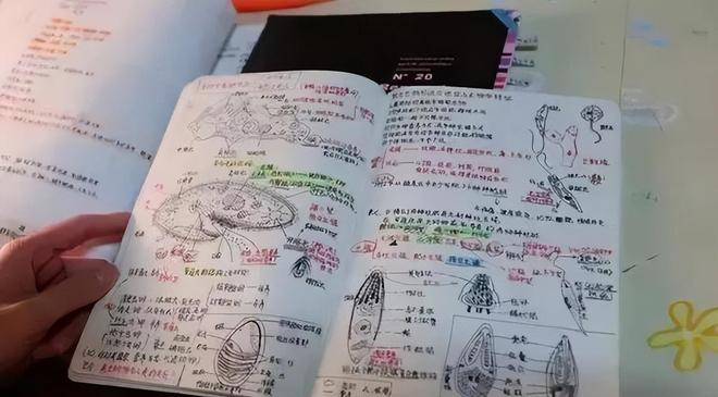 朝鲜缺电远比越南严重,中国却始终不向其送电,说白了,一旦输电线搭过去,恐怕会送出个无底洞般的烂账